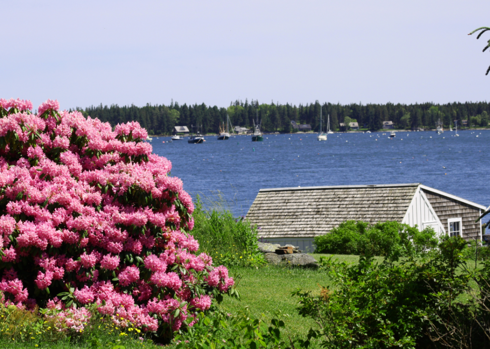 #30. Maine